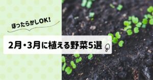 2月3月に植える野菜